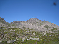 opps_20160804_57a3af21b6c3a.jpg