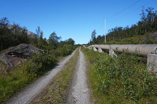 Anleggsveien innover mot Forsavatnet.