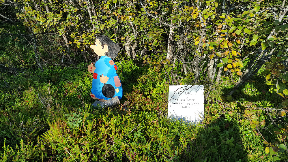 Litt fra eventyrskogen.