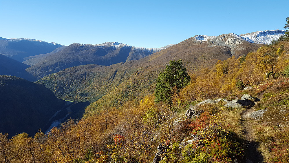 Nydelig farger fortsatt selv om vi er i oktober mnd.  