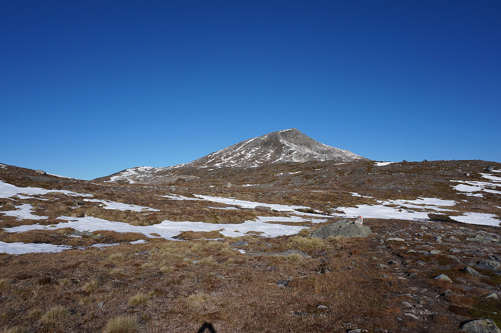 Storbekkhøa