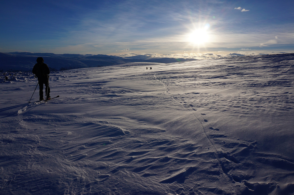 Fint skiføre.