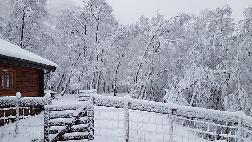 Vi feiret nyttår på Eiriksvollen og våknet til herlig nysnø..