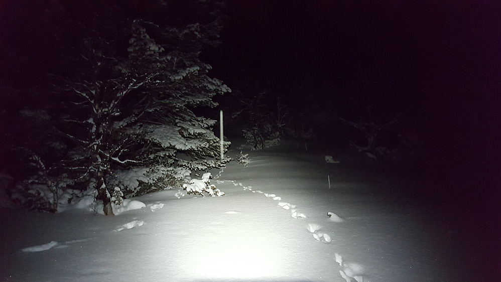 Kveldstur på Svarthaugen, tungt å tråkke spor etter det store snøfallet.