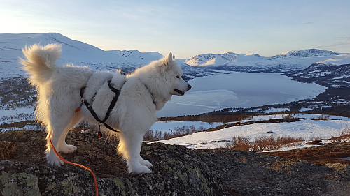 Min beste turvenn som lokker meg ut på tur.