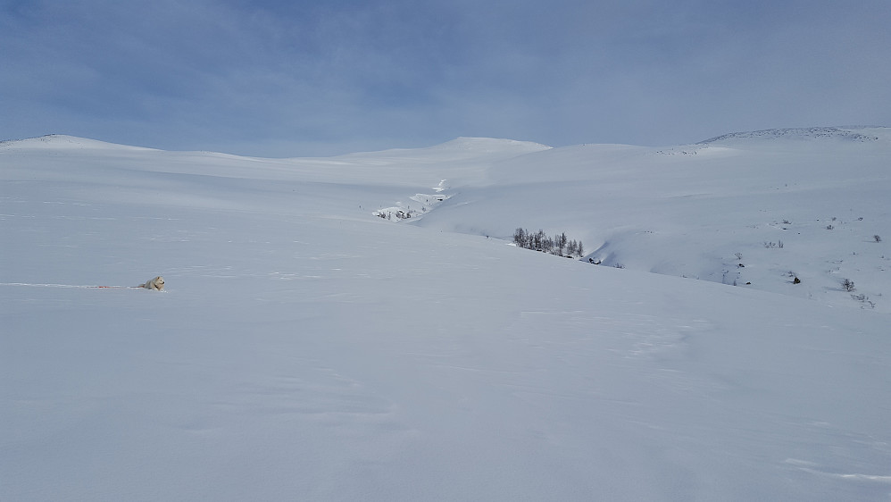 Herlig med urørt villsnø...