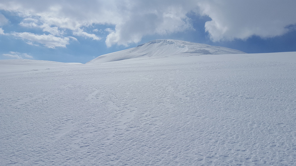  Atter en fin dag her i nord selv om det var litt vind på toppen.
