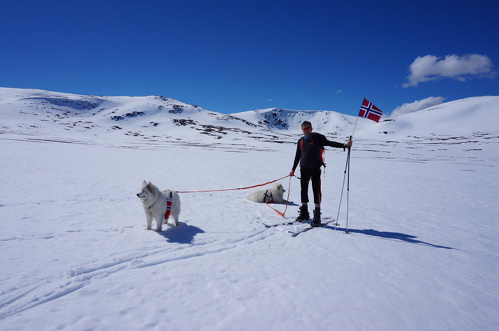 Hurra for fint skiføre.