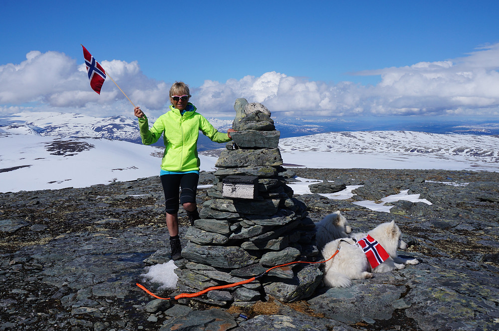 Hurra for Brattfonnhøa.