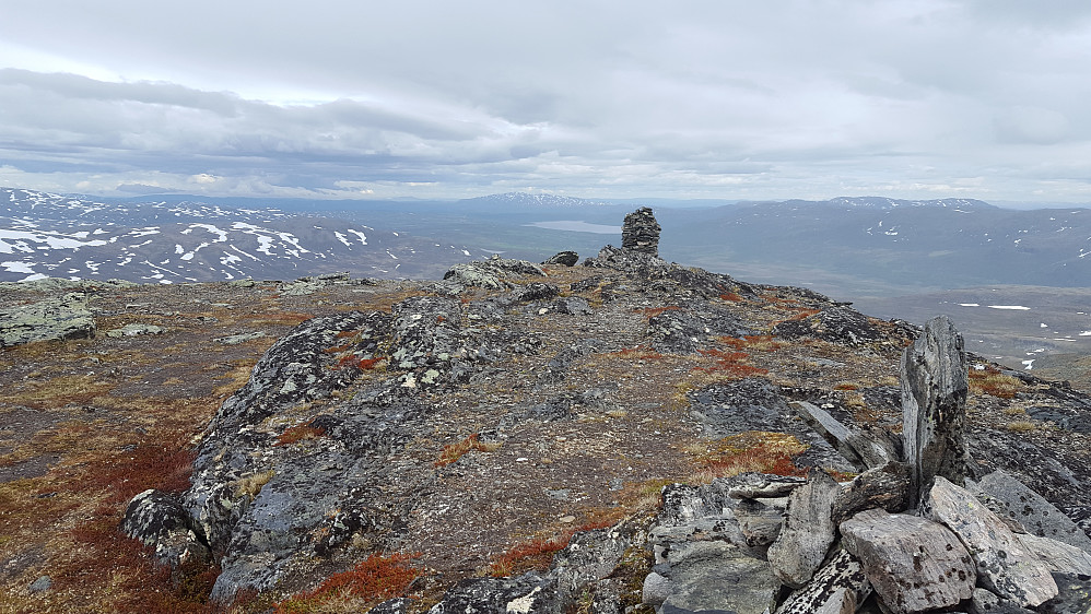 Svahøa.