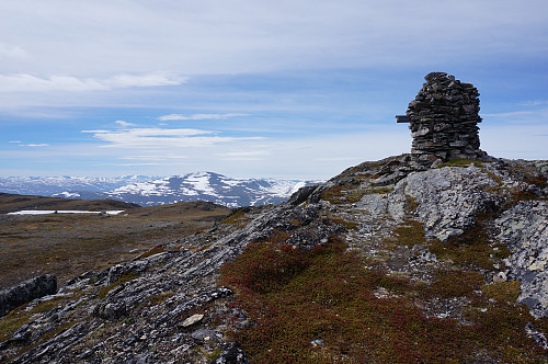 Svahøa...