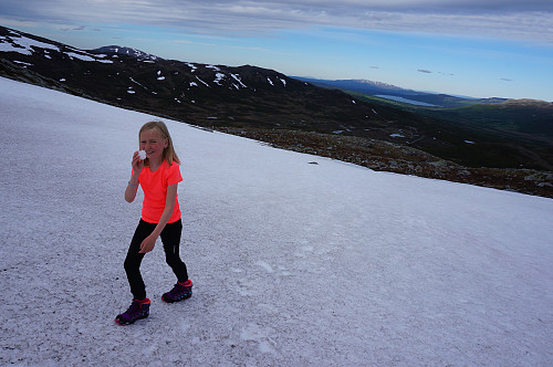 Snøball krig..