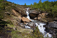 opps_20170630_5956589d759b0.jpg