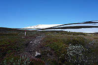 opps_20170630_595658b28e831.jpg