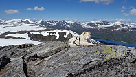 opps_20170630_59565907b6f68.jpg