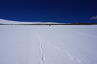 opps_20170630_5956592a3f275.jpg