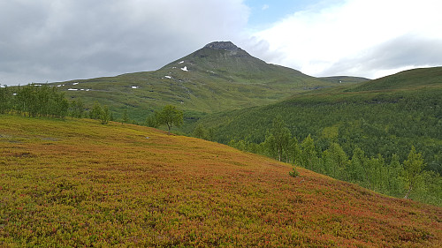 Høstfargene er kommet, Fugltinden der bak.