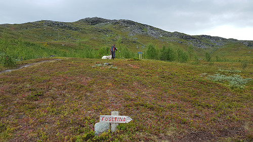 Lett å finne fram når det er så god sti og merket.  