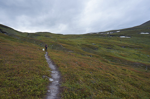 Lett å finne fram når det er så god sti og merket.  