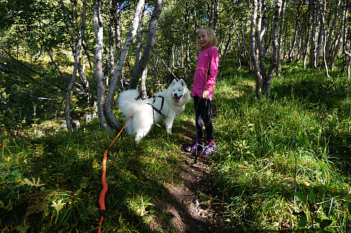 Aurora og Tundra.