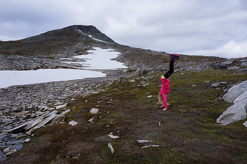Dette klarer ikke jeg men Aurora har mer enn nok energi igjen.
