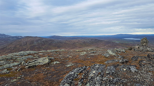 Svahøa