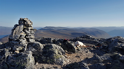 Snydda.