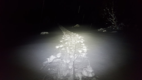 Kveldstur i herlig nysnø.