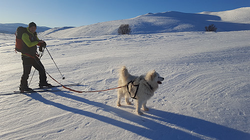 Egil og Bamse
