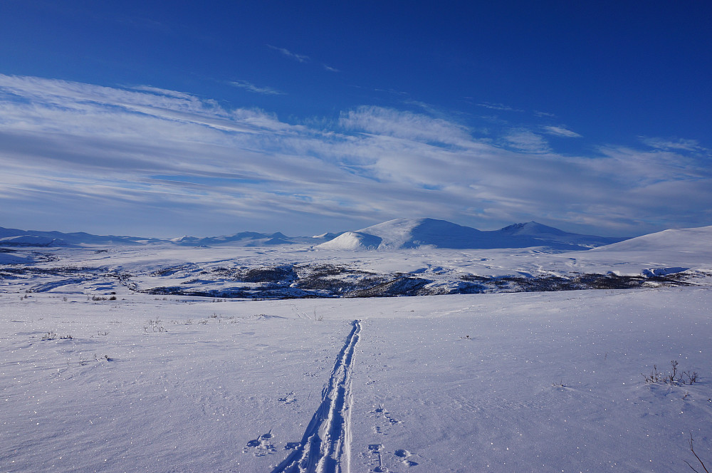 Nydelig skiføret og utsikt til Snøhetta.