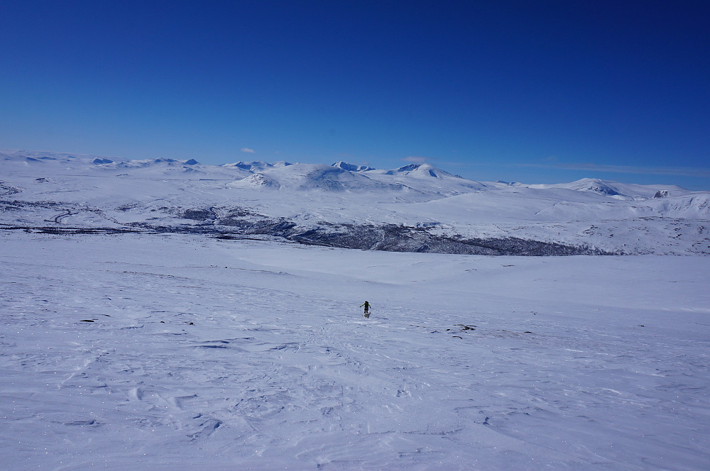 Snøhetta massivet er et nydelig skue.. 