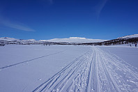 opps_20180408_5aca23456e594.jpg