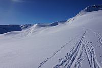 opps_20180408_5aca23d8bea5d.jpg