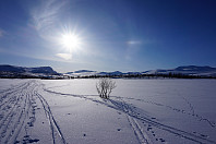 opps_20180408_5aca24252f797.jpg