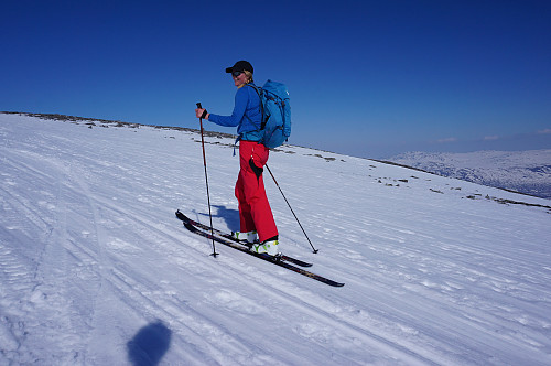 Siri fikk endelig ta på skia etter 3 uker på sjøen, hun hadde skikkelig skiabstinens... fikk en fin varm tur opp på Storhornet.