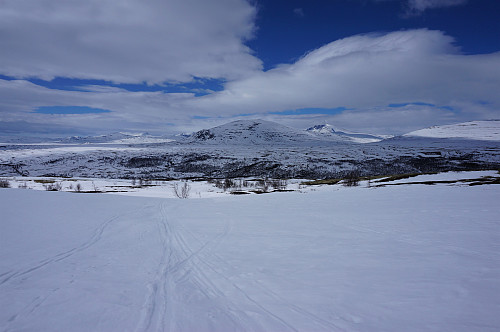Føret ble litt bedre når vi kom over skogen, her  fulgte vi Blesebekken oppover.