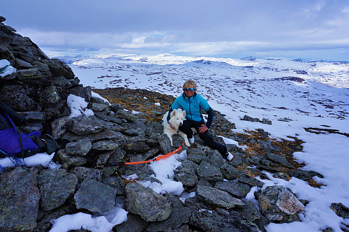 Tundra ble sliten i dag når hun sank så langt ned i den råtten snøen. 