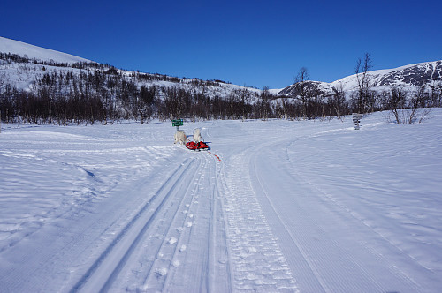 Arbeids hunder, Tundra og Bamse.