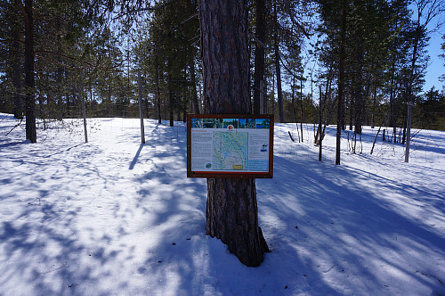 Skituren går innover i Flensmarka naturreservat.