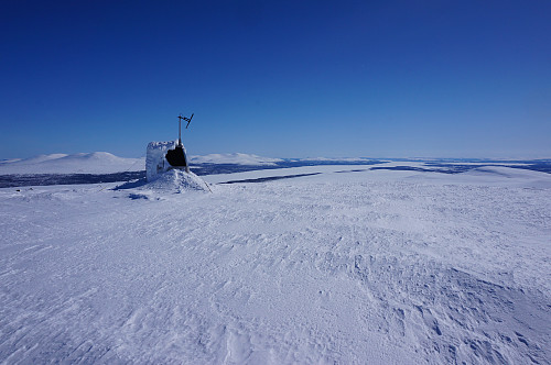  Flenskampen
