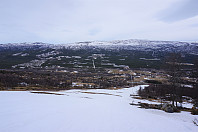 opps_20180501_5ae878042572d.jpg