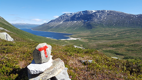  Etter jeg hadde ryddet litt ved Vassendsetra fortsatte jeg opp til Hyttdalskamben i det nydelige været.