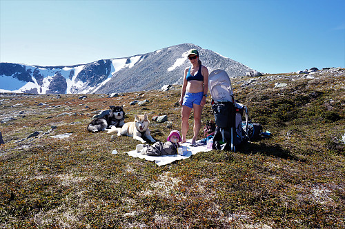 Solveig med sin lille datter Tove og alaskan malamutene koste seg i solen ved Mjølkskåla mens Jørgen tok en tur opp på Snydda.