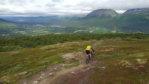 Populær topp for hjul,ski og føtter.