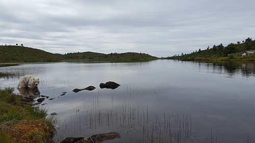 Sætrevatnet  