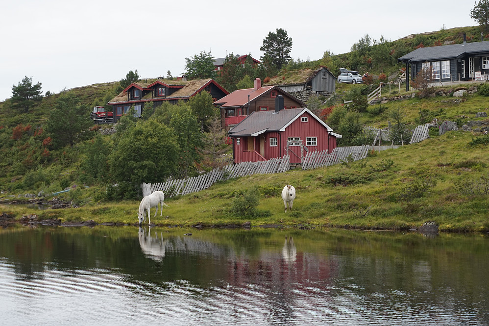 Vassætra
