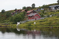 opps_20180719_5b50d9e6c2c8b.jpg
