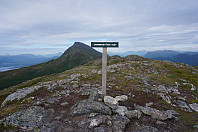 opps_20180719_5b50da495cfe9.jpg