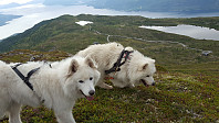 opps_20180719_5b50da5349df5.jpg