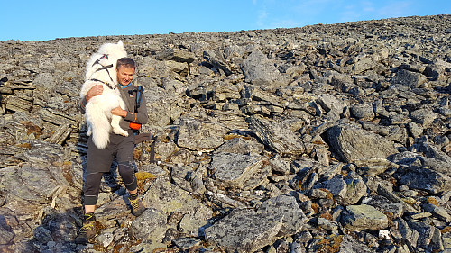Tundra får hjelp igjennom steinrøysa, fornøyd hund.